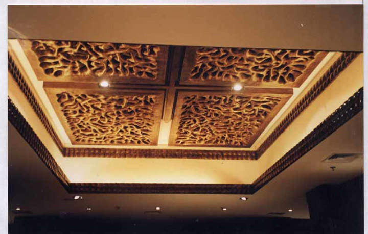 Ceiling pool